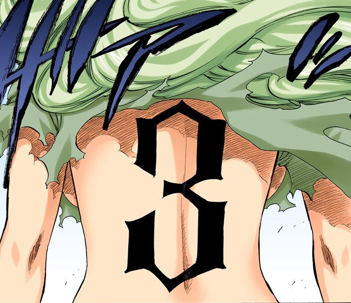 Nelliel Tu Odelschwanck, Bleach Wiki