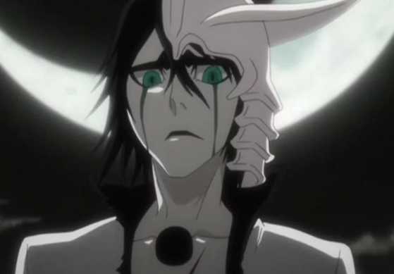 Ulquiorra Cifer Bleach Wiki Fandom