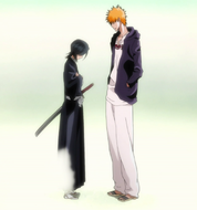 Rukia disappears from Ichigo's sight.