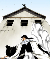 Yoruichi promises to make Ichigo stronger than Byakuya in three days.