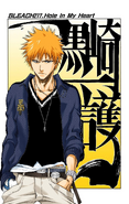 Ichigo Kurosaki on the cover of Chapter 217.