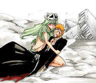 Nelliel rescues Ichigo from Nnoitra.