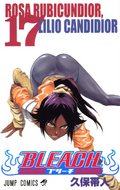 Yoruichi on the cover of Volume 17.