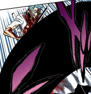 Ichigo uses Getsuga Tenshō against Grimmjow.