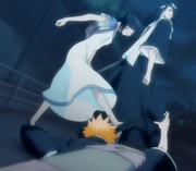 284px-Rukia kicks Ichigo's arm away-1-