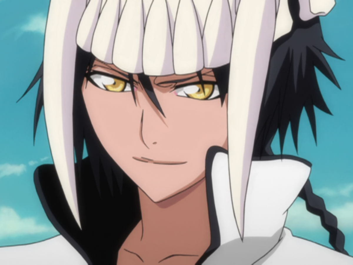 Bleach: Arrancar Arc (Episodes 110 – 121) Review – Hogan Reviews