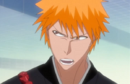 Ichigo proclaims he is a Human.