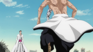 Yamamoto confronts Aizen after defeating Wonderweiss.