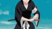 Shikai Tobiume