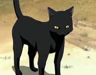 O15 Yoruichi w formie kota