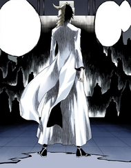 197Ulquiorra returns