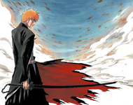 162Ichigo's Bankai, Tensa Zangetsu