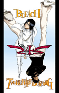 Uryū and Sado on the cover of Chapter 242.