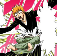 Nel tackles Ichigo in the abdomen.