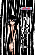 Rukia on the cover of Chapter 70.