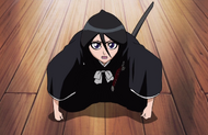 Rukia apologizes for interrupting the meeting.