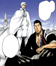 674Isshin and Ryuken arrive