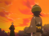 Rukia S Resolution Ichigo S Feelings Bleach Wiki Fandom