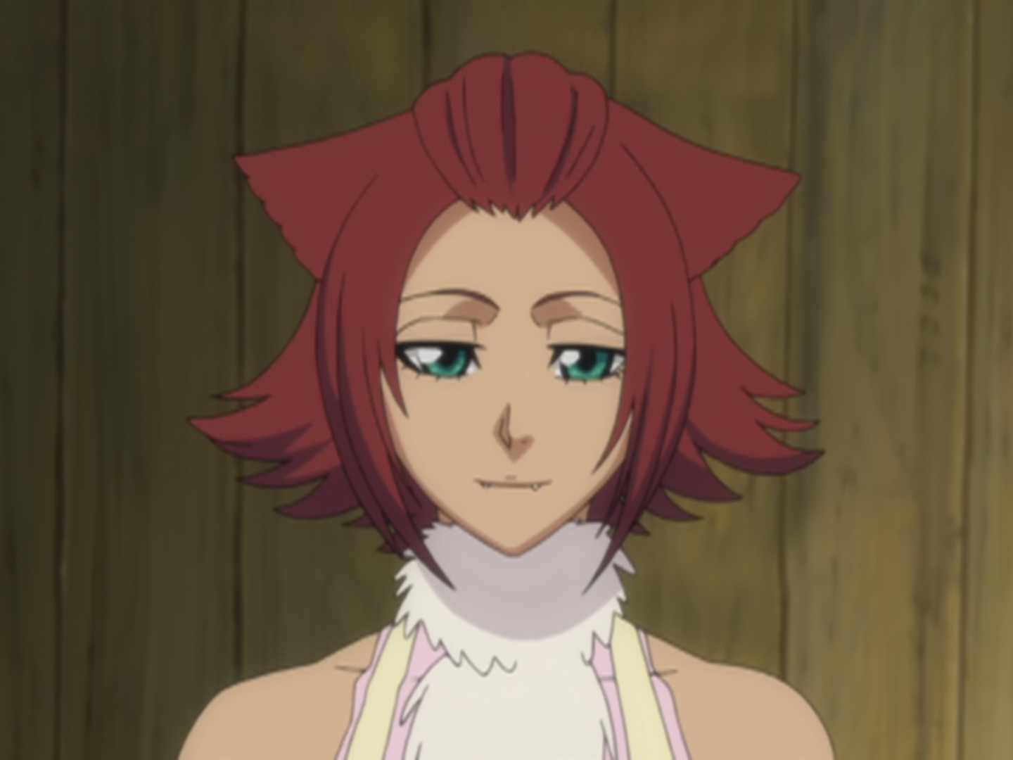 Haineko Zanpakutō Spirit Bleach Wiki Fandom