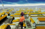 Yoruichi looks over the heavily damaged Seireitei.