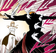 282Ichigo protects