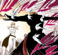 Ichigo protects Orihime from the Garra de la Pantera.