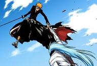 Ichigo catches Grimmjow before he can fall.