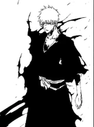 Evolución del Fullbring de Ichigo