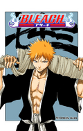 Ichigo on the cover of Chapter 73.