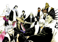 A color spread in All Colour But The Black, featuring the 13 captains of the Gotei 13 during the Soul Society arc.