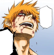 Ichigo persists in believing he can defeat Ulquiorra.