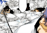 Hisagi wraps Kazeshini around Mask's leg in an attempt to stop him.