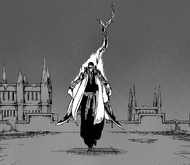 R648 Gotowy z Bankai