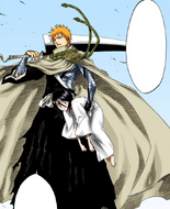 Ichigo carries Rukia under his arm after saving her.