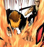 Ichigo grabs Zangetsu.