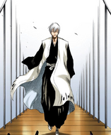 Gin approaches Rukia Kuchiki on the bridge.