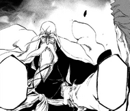 Yamamoto captures Aizen by allowing him to stab him.