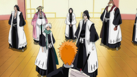 El Gotei 13 junto con Ichigo