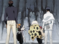 Sado watches as Ichigo and Renji rescue Nel, Pesche, and Dondochakka.