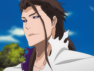 Sōsuke Aizen | Bleach Wiki | Fandom