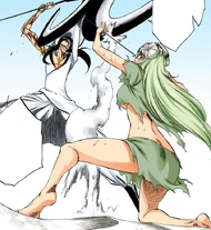 294Nelliel and Nnoitra clash