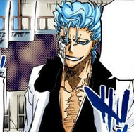 Grimmjow 19 months after Aizen's defeat.