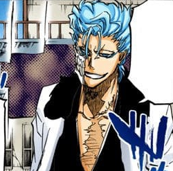 Grimmjow Jaegerjaquez Expanded Universe Bleach Wiki Fandom