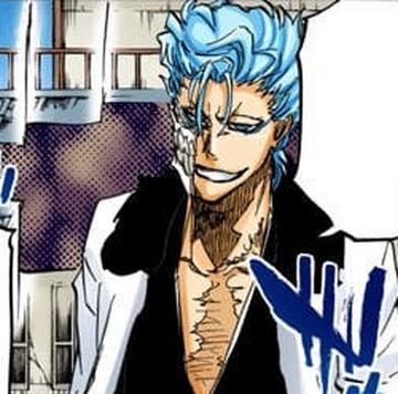 Bleach Grimmjow Pantherform