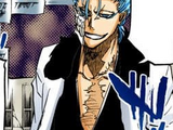 Grimmjow Jaegerjaquez