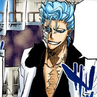 Grimmjow Jaegerjaquez Bleach Wiki Fandom Nnoitra states grimmjow is a bad loser and it is his turn to. grimmjow jaegerjaquez bleach wiki