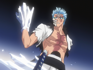 Grimmjow see that his hand has been frozen.