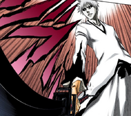 221Zangetsu sees