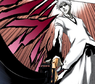 Zangetsu sees his sleeve turning black after Ichigo grabs the blade of his sword.