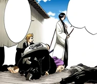 Unohana instructs the Shinigami to take the wounded to the sixteenth relief station.